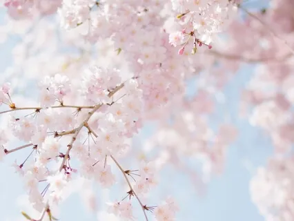 Yoga Nidra- Compassion In Anxious Times