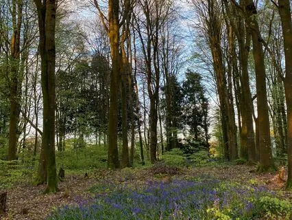 Yoga Nidra Connecting To Community