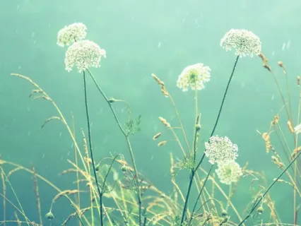 Yoga Nidra Connection And Kindness