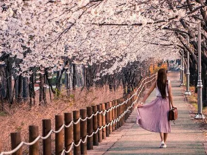 Yoga Nidra: Cosmic Springtime Imagery