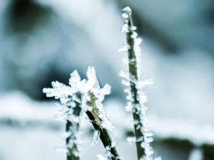 Yoga Nidra Creating Comfort For Calm And Ease