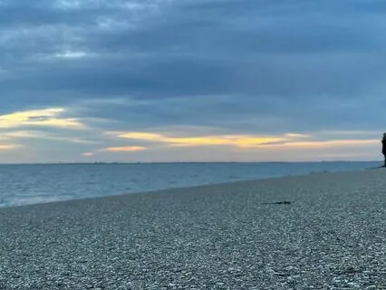 Yoga Nidra - Cultivating Equanimity