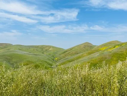 Yoga Nidra: Cultivating Your Awareness