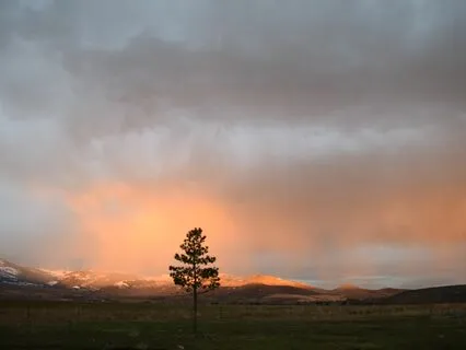 Yoga Nidra: Cutting Cords