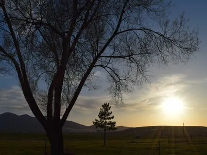 Yoga Nidra: Decompress