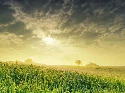 Yoga Nidra Deep Relaxation