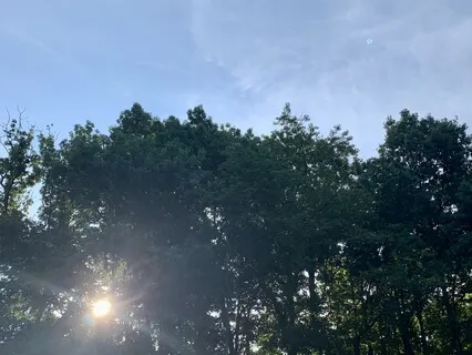 Yoga Nidra - Deep Relaxation • Body Scan