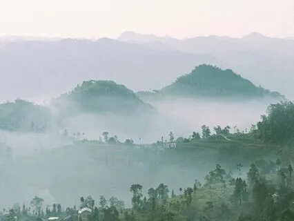 Yoga Nidra | Deep Rest, Deep Acceptance