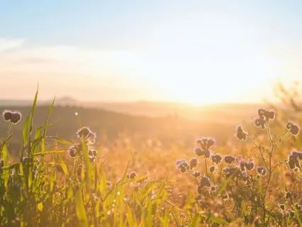 Yoga Nidra Deep Rest For Chronic Fatigue & Burnout