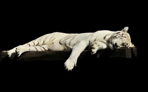 Yoga Nidra - Deep Rest