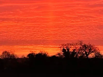 Yoga Nidra Deep Sleep | 30 Min + 10 Hr Sleep Music