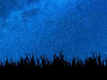 Yoga Nidra Deep Sleep – A Nervous System Companion | 8 Hours