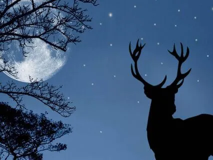 Yoga Nidra: Rest, Deep Sleep & Relaxation