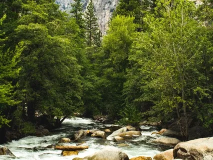 Yoga Nidra - Dissolving Into Being