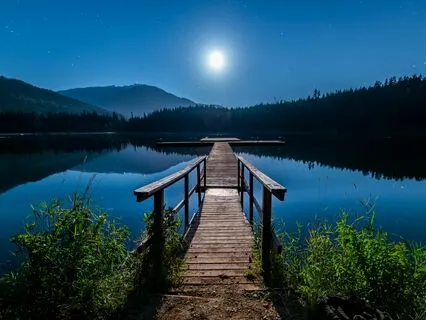 Yoga Nidra: Dive Into The Dark