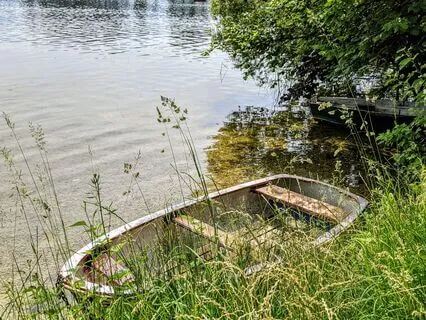 Yoga Nidra - Dream Journey: Ocean And Jungle