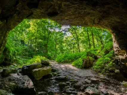 Yoga Nidra Earth Element Grounding Journey