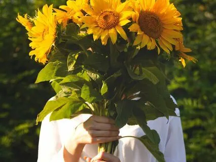 Yoga Nidra | Earth Element | Late Summer