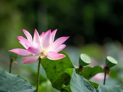 Yoga Nidra: Embodying A New Way Of Being