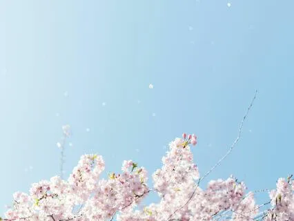 Yoga Nidra: Embrace A Slower, More Intimate Pace Of Life