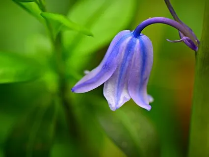 Yoga Nidra: Embraced By The Great Mother