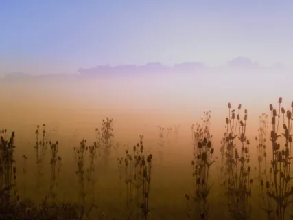 Yoga Nidra - Embracing Change & Welcoming New Beginnings