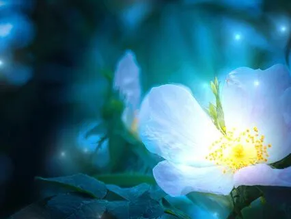 Yoga Nidra: Enchanted By Forest Spirits