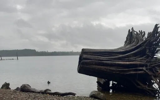 Yoga Nidra Energy Body