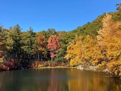 Yoga Nidra: Exploring Grief & Joy