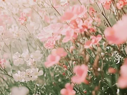 Yoga Nidra: Exploring The Anandamaya Kosha