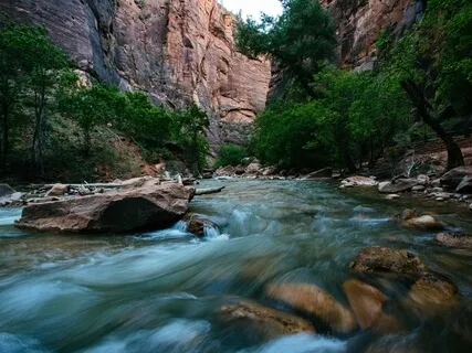 Yoga Nidra: Exploring The Breath Of The Seven Billion