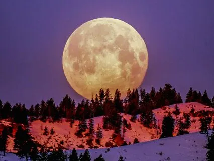 Yoga Nidra: Exploring The Vijnanamaya Kosha