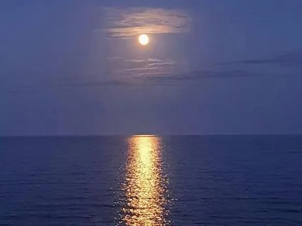Yoga Nidra - Fall Gently Into Deep Sleep | No Music