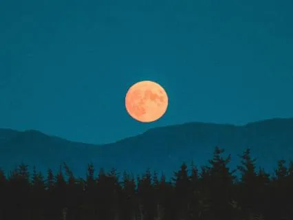 Yoga Nidra: Find A Light In The Dark