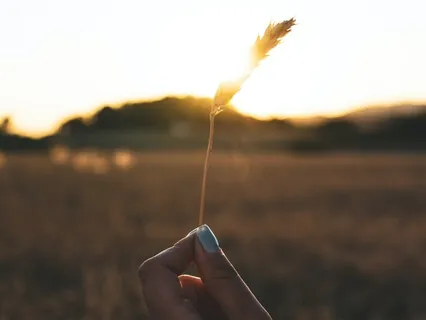 Yoga Nidra For Finding Alignment