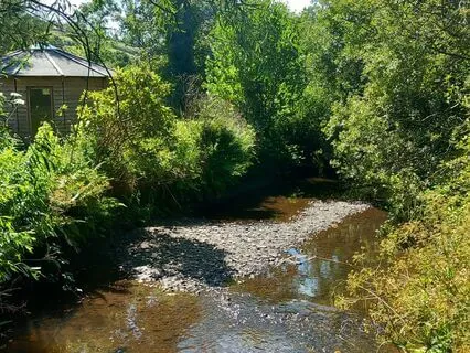 Yoga Nidra: Find Peace In Uncertain Times