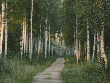 Yoga Nidra: Finding Steady Ground