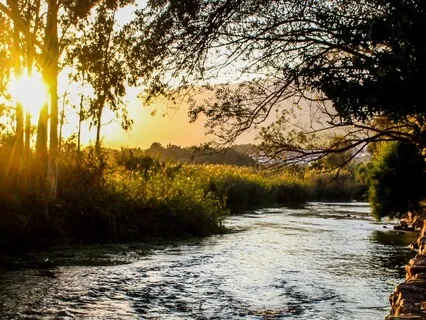 Yoga Nidra - Float Down the River