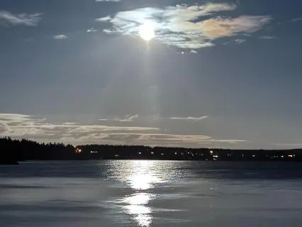 Yoga Nidra: Flow & Release (Live)