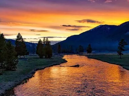 Yoga Nidra: Flowing Water Element