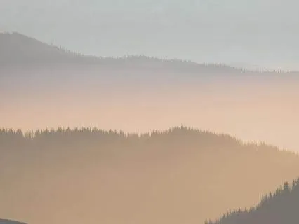 Yoga Nidra For A Busy Mind