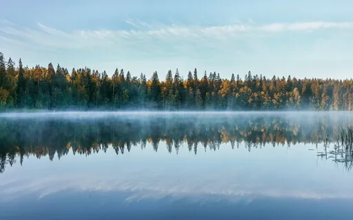Yoga Nidra for a Calm Mind 