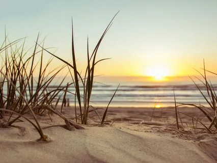 Yoga Nidra For A Midday Pause - Beach Walk