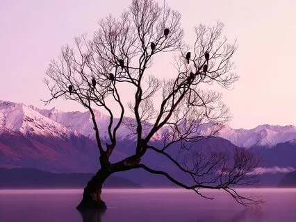 Yoga Nidra For A Racing Mind: Drift Into Deep Sleep