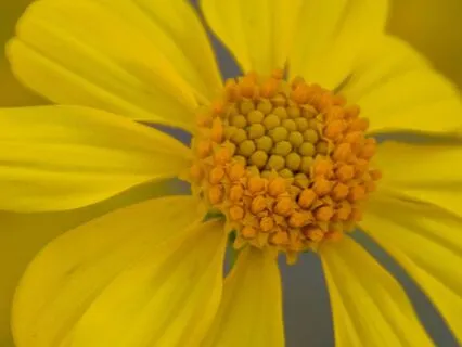 Yoga Nidra For A Restful Night's Sleep