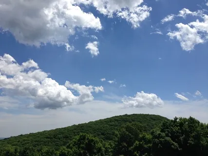 Yoga Nidra For A Restful Pause