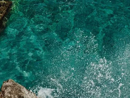 Yoga Nidra for a Tranquil Mind and Body