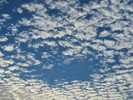 Yoga Nidra For Beginners - Good For All Levels! (No Music)