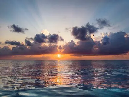 Yoga Nidra For Abundance - Deep Rest