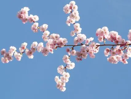 Yoga Nidra For Abundance